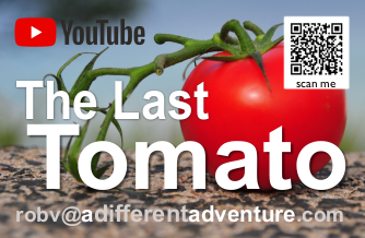 The Last Tomato